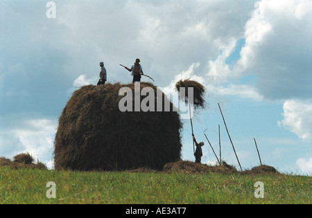 Les agriculteurs passent jusqu'haycocks sur le sommet d'une meule. Altaï. La Sibérie. La Russie Banque D'Images