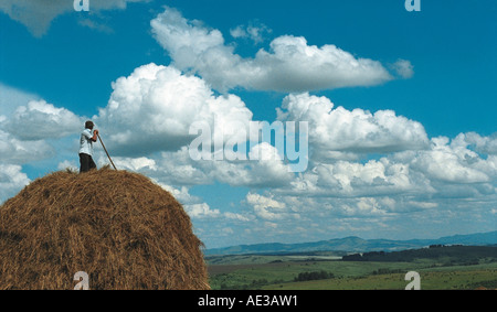 Un agriculteur sur le sommet d'une meule de prendre un court repos. Altaï. La Sibérie. La Russie Banque D'Images