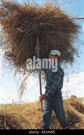 Un agriculteur s'Haycock. Altaï. La Sibérie. La Russie Banque D'Images