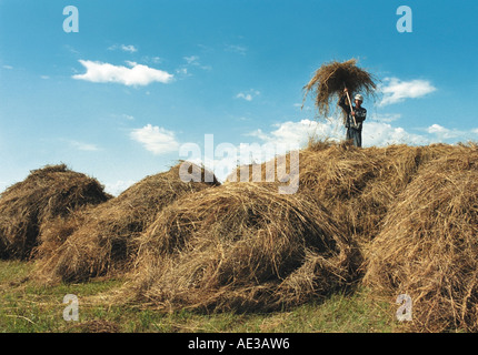 Un agriculteur s'Haycock. Altaï. La Sibérie. La Russie Banque D'Images