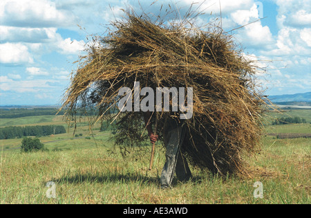 Un agriculteur transportant haycock sur ses épaules. Altaï. La Sibérie. La Russie Banque D'Images