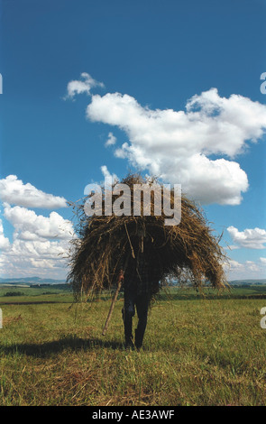 Un agriculteur transportant haycock sur ses épaules. Altaï. La Sibérie. La Russie Banque D'Images