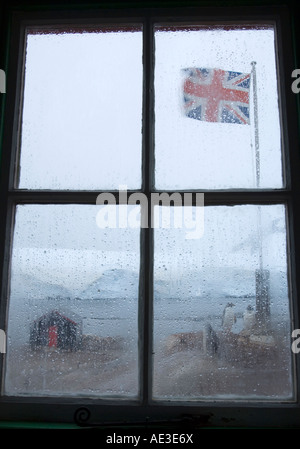 Port Lockroy l'Antarctique, à la recherche à travers la fenêtre à Gentoo pingouin. Banque D'Images