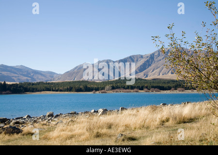 Le lac Tekapo ile sud Nouvelle Zelande peut à tout ce joli lac de couleur turquoise Banque D'Images