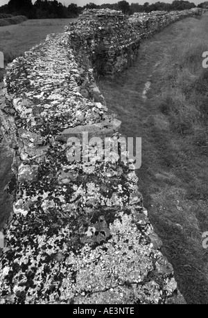 Calleva Atrebatum , mur sud à la wast vers porte sud montrant comment wall domine le terrain plus élevé Banque D'Images