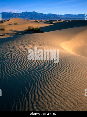 Death Valley National Park Californie USA Banque D'Images