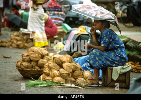 Inde Goa Vasco de Gama femme avec parapluie battues mousson décrochage de coco Banque D'Images