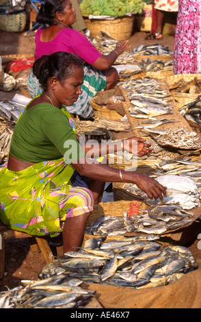 Inde Goa Mapusa market section poisson du marché hebdomadaire Banque D'Images