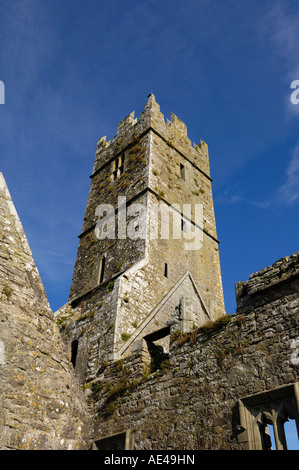 Ross Errilly couvent franciscain, près de Headford, comté de Galway, Connacht, République d'Irlande, Europe Banque D'Images