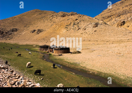 Aimaq camps nomades, près du village de confiture, l'Afghanistan, l'Asie Banque D'Images