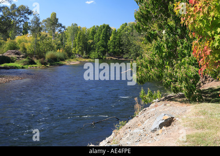 Les eaux froides qui coule doucement de la rivière Tumut originaires de la montagnes enneigées du New South Wales Australie Tumut Banque D'Images