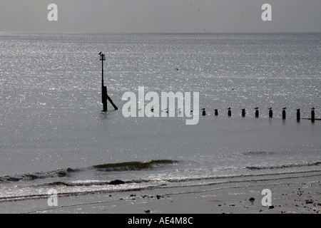 Phare et d'avertissement sur l'après fin d'un brise-lames immergées ou de l'aine, sur la côte est du Yorkshire en Angleterre avec d'autres posts sho Banque D'Images