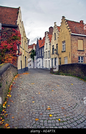 Peerdenbrug un pont sur le canal de Bruges, Groenrei Banque D'Images