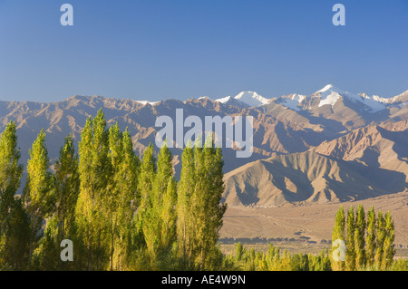 Vallée de l'Indus et massif Stok-Kangri, Leh, Ladakh, Himalaya indien, l'Inde, l'Asie Banque D'Images