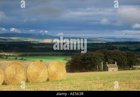 Big Balles cylindriques, Hillbarns ferme, Angus Banque D'Images