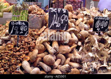 Barcelone Espagne Vente champignons sur le marché de la Boqueria Banque D'Images