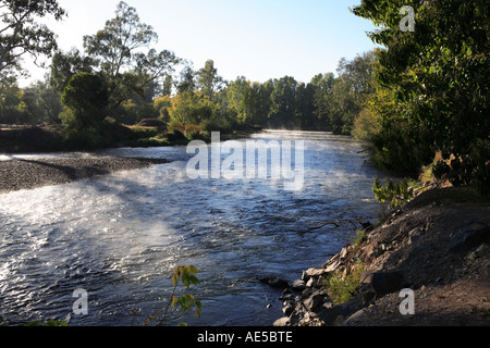 L'augmentation de la brume qui coule doucement les eaux froides de la rivière Tumut Tumut,, NSW, Australie Banque D'Images