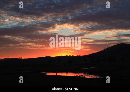 Coucher du soleil sur le lac de Hume près du canton de Tallangatta Australie Victoria Banque D'Images