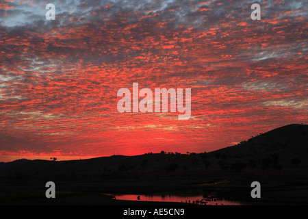 Coucher du soleil sur le lac de Hume près du canton de Tallangatta, Victoria, Australie Banque D'Images