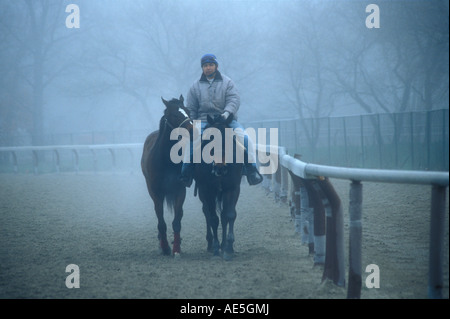 L'homme à cheval Cheval de course avec companion trottine sur rail track après entraînement matin tôt le matin dans le brouillard Banque D'Images