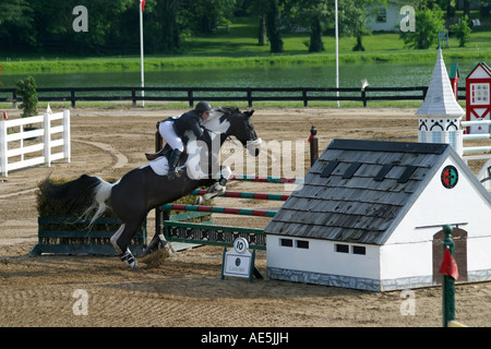 Femme rider sur Paint horse jumping over protection double en saut la concurrence au Kentucky Horse Park de Lexington Banque D'Images