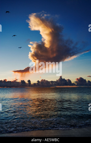 Les nuages de tempête au coucher du soleil avec des oiseaux marins sur l'océan Seychelles Banque D'Images