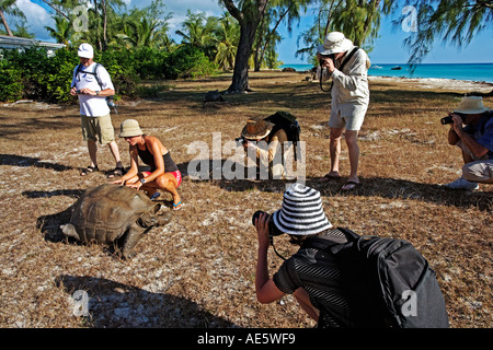 Les touristes à la photographier et à tortues géantes de l'île d'Aldabra aux Seychelles Banque D'Images