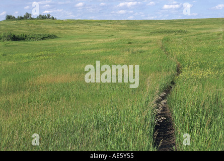 Sentier des prairies sur Meriwether Lewis et William Clark route près de Rivière Missouri Mandans Dakota du Nord. Photographie Banque D'Images