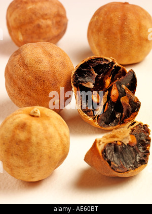 LIMES SÉCHÉS Banque D'Images