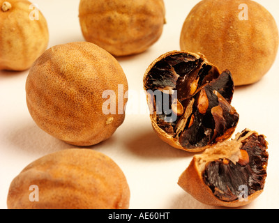 LIMES SÉCHÉS Banque D'Images