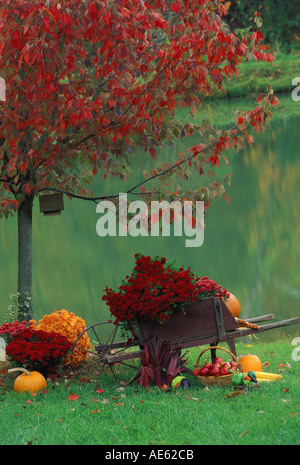 Brouette en bois ancien plein de fleurs de l'automne reflète dans lake, Midwest USA Banque D'Images