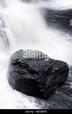 Boulder au bas de Blackwater Falls Blackwater Falls State Park West Virginia Banque D'Images