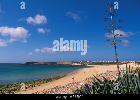 Algarve vide plage dans le soleil d'été Martinhal beach près de Sagres Algarve Portugal Europe de l'UE Banque D'Images