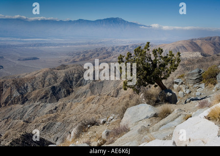Voir Touches dans Joshua Tree National Park CA Banque D'Images