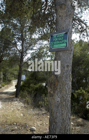 Es Figueral Es Portitxol Sant Joan de Labritja San Juan Ibiza Eivissa Espagne Baléares Banque D'Images