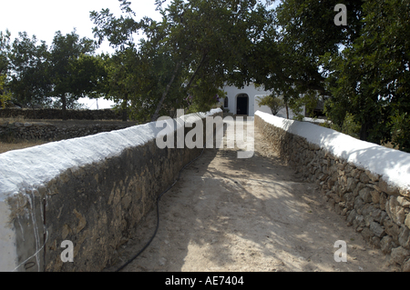 Construction Rural Es Figueral Es Portitxol Sant Joan de Labritja San Juan Ibiza Eivissa Espagne Baléares Banque D'Images