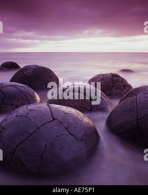 Moeraki Boulders ile sud Nouvelle Zelande Banque D'Images