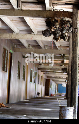 Trophée de la tribu Iban à l'intérieur de crânes de Rumah Uluyong, une longue maison traditionnelle Iban, Kapit, Sarawak, Bornéo, Malaisie Banque D'Images