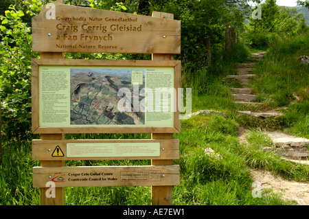 Craig Cerrig Gleisiad Frynych Ventilateur une réserve naturelle nationale dans le parc national de Brecon Beacons Powys South Wales UK Banque D'Images