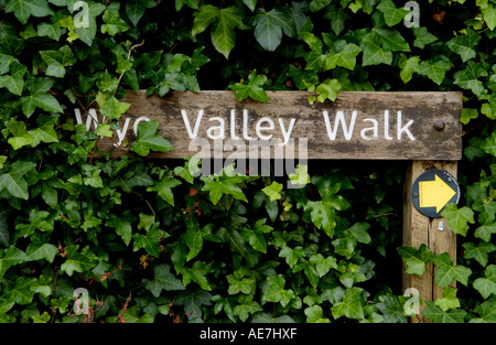 Couvert de lierre WYE VALLEY WALK signe à Tintern dans la basse vallée de la Wye Monmouthshire South East Wales UK UE GO Banque D'Images