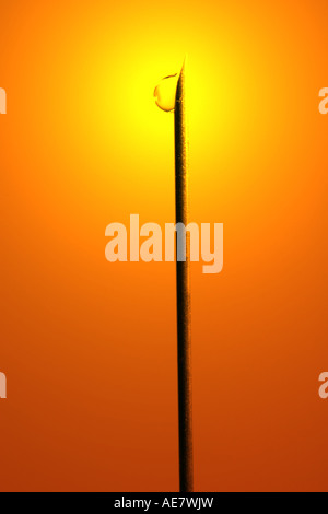 L'injection de gouttes sur l'aiguille Banque D'Images