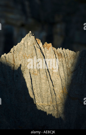 Calcaire érodé ou "tsingy" Détail des rochers escarpés en fin d'après-midi, lumière, Parc National d'Ankarana, Madagascar Banque D'Images