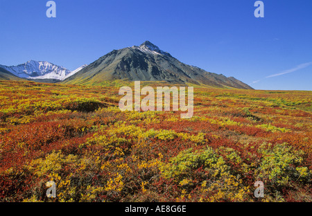 La toundra alpine à l'automne couleurs sous Mt Decoeli quitté la réserve de parc national Kluane du Canada Territoire du Yukon Banque D'Images