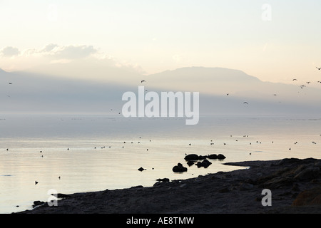 Coucher du soleil le long de la côte à la mer de Salton National Wildlife Refuge Californie Westmorland Banque D'Images