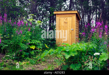 Une piscine toilettes avec fleurs d'épilobe en Alaska Ninilchik Banque D'Images