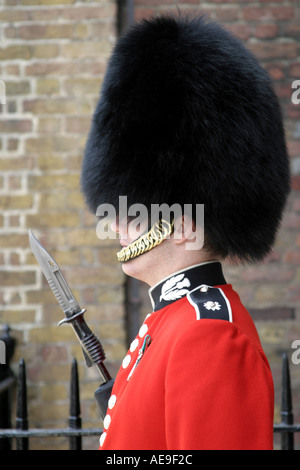 Sentry en dehors de St James's Palace Londres Angleterre Banque D'Images