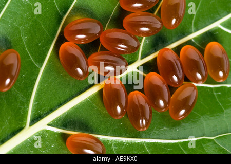 Omega 3 capsules sur une feuille, close-up Banque D'Images