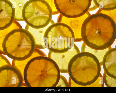 Les agrumes en tranches Banque D'Images