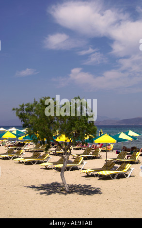 Transats sur la plage des îles grecques de Kos Tingaki Banque D'Images