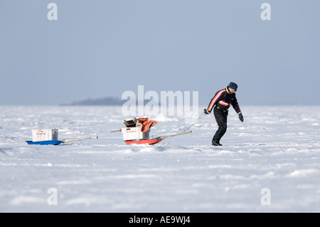 Pêcheur tirant des traîneaux , rempli de matériel de pêche net, à l'hiver sur la glace de mer à la mer Baltique , Golfe de Bothnia , Finlande Banque D'Images